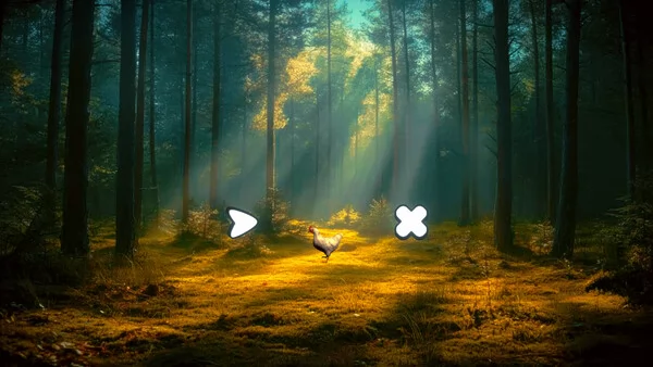 Catch the Chiken截图