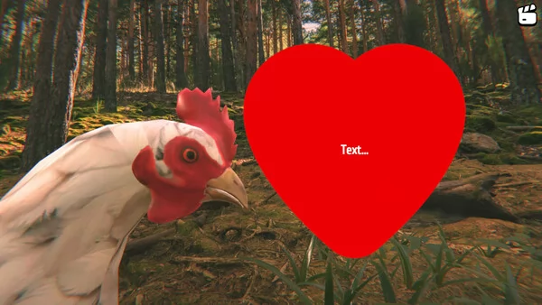 Catch the Chiken截图