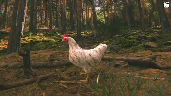 Catch the Chiken截图