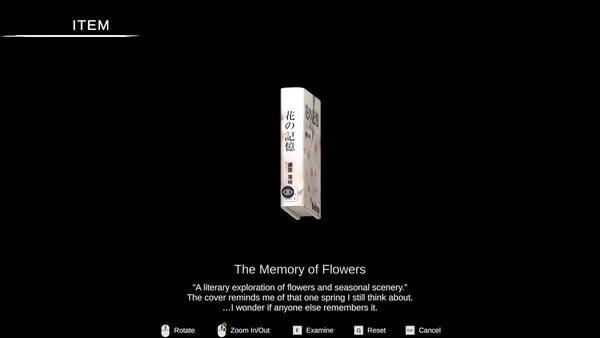 孤寂图书馆截图