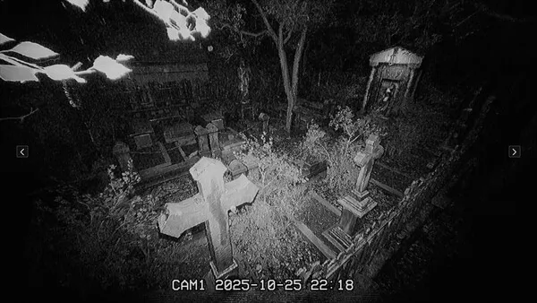 墓地的夜勤截图