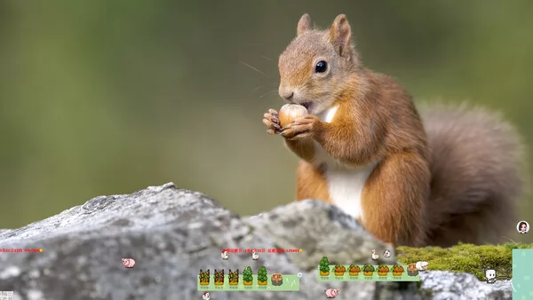 桌面农场物语截图