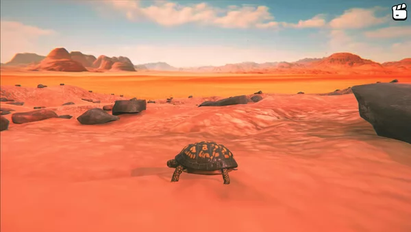 Catch the Turtle截图