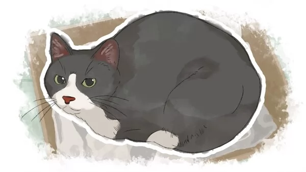 Dear me, I was...截图