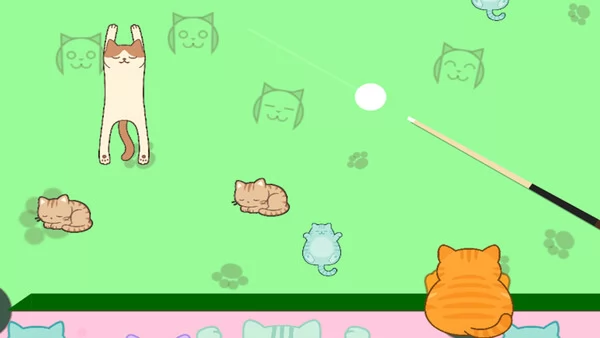 Chaos Cat Pool截图