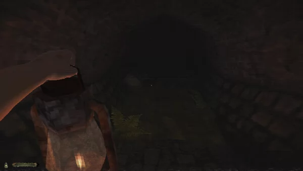 CHWAST:A Creeping Parasite Horror截图