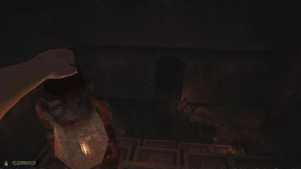 CHWAST:A Creeping Parasite Horror截图