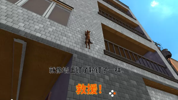 超过100只猫需要帮助截图