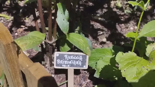 Our Metal Bowl截图