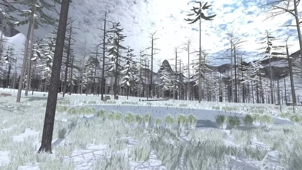 Forest Construction VR截图