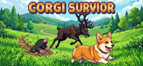 Corgi Survivor