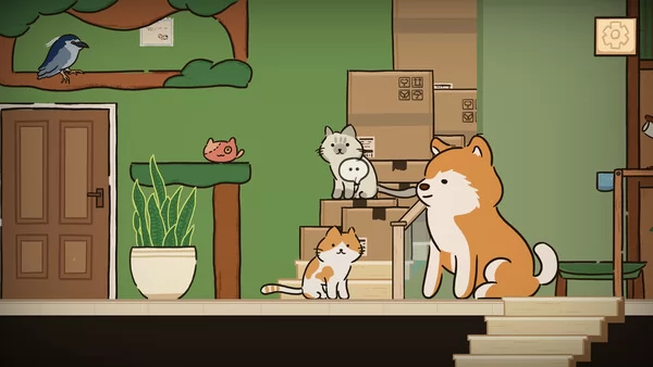猫在家里截图