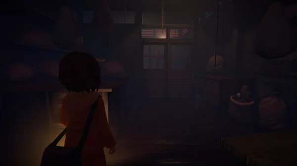 Narin:The Orange Room截图