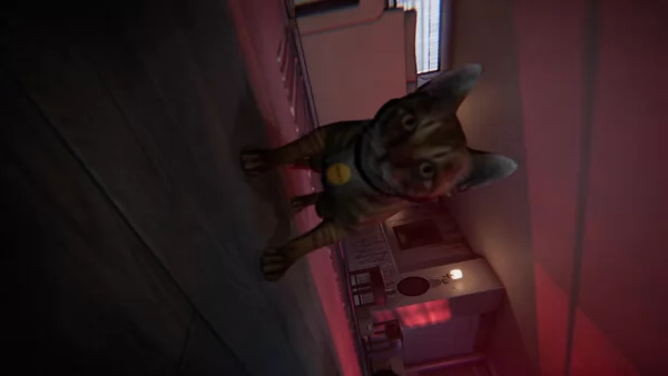 The Floor Above截图