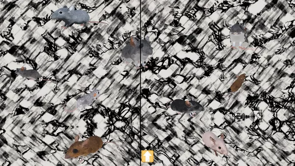 隐秘尾:来自我是老鼠的世界截图