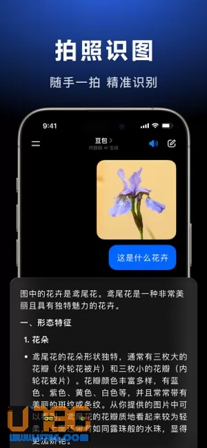 豆包图片