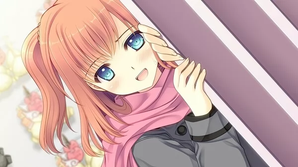 少女理论以及周边截图4