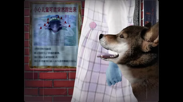 翌日 -波奇狗的历险记-截图2